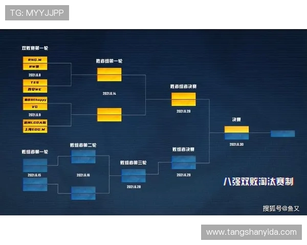 王者荣耀战术解析:WE战队反击体系的深度剖析与应用策略