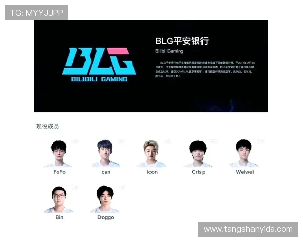 BLG战队在CSGO赛场的战略转型与未来发展解析
